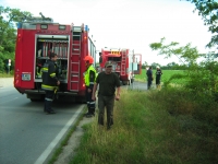 Waldbrand  Reuhof 006