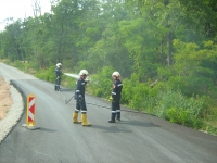 Waldbrand  Reuhof